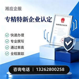 佛山专精特新企业申报服务