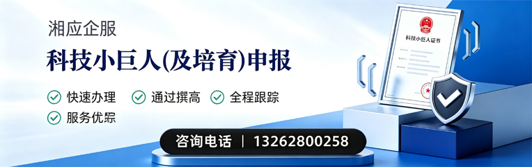 佛山科技小巨人及培育企业申报服务