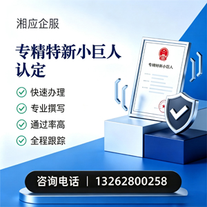佛山专精特新小巨人申报服务