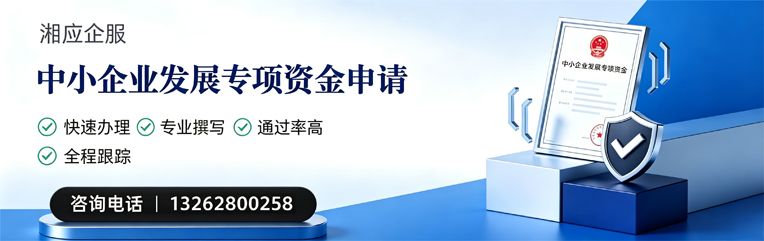 佛山中小企业发展专项资金申报服务