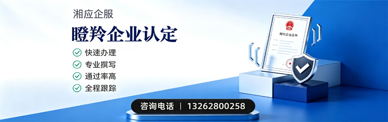 佛山瞪羚企业认定申报服务