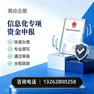 佛山信息化专项资金申报服务