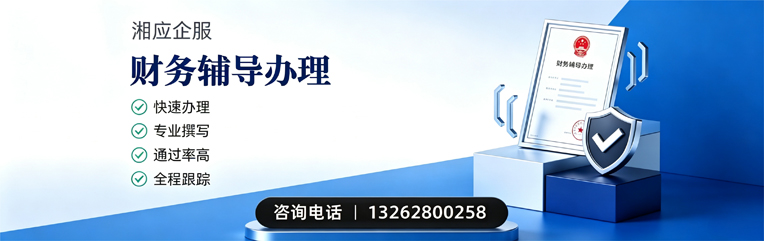 佛山财务辅导申请服务