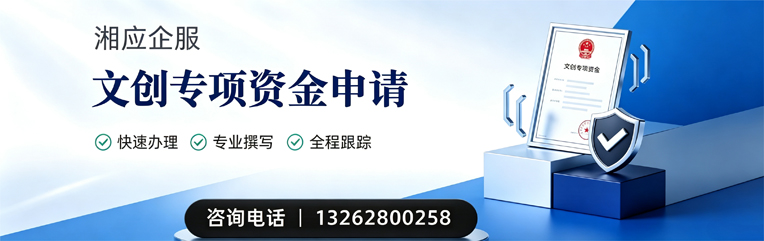 佛山文创专项资金申报服务