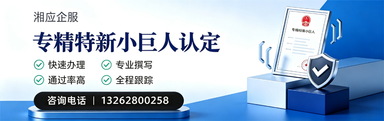 佛山专精特新小巨人申报服务